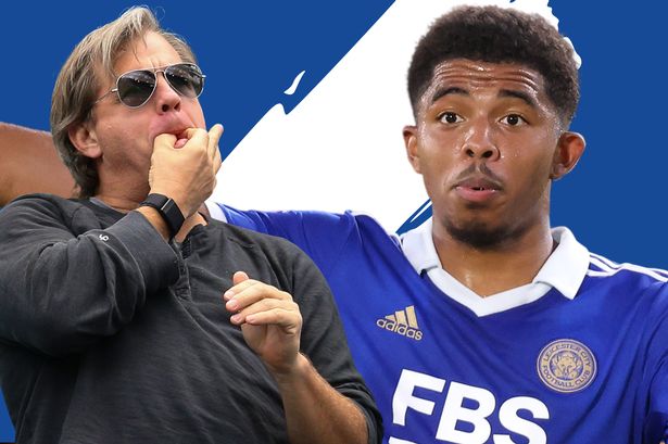 中超：山东泰山主场2-0完胜青岛队（中超：山东泰山主场两球零封青岛队）